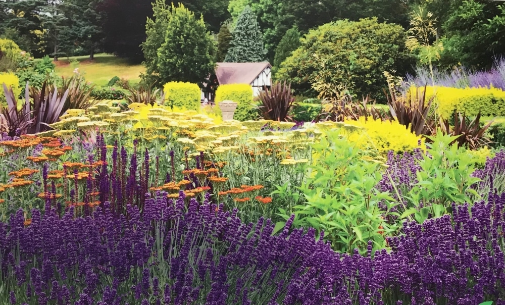 Calverley Grounds photo wins at the Blooming Marvellous exhibition